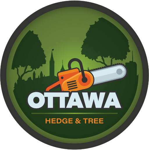 Favicon for Ottawa Hedge and Tree services.